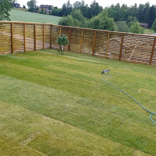 Nyrullet gressmatte omringet av et moderne tregjerde