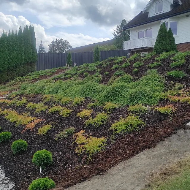 Beplantning på brå gressplen