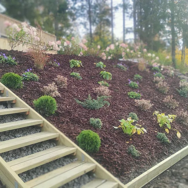 Beplantning på brå gressplen