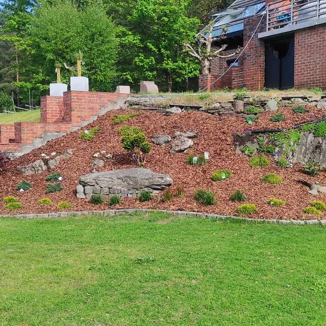 Gressplen med beplantning