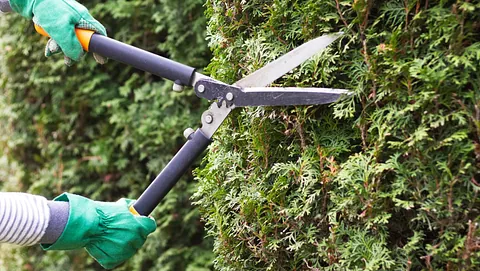 Person som trimmer busker med hagesaks