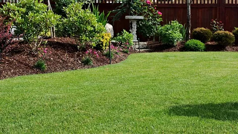 Pen gressplen med planteområder rundt