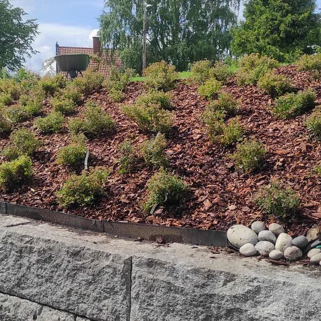Beplantning på brå gressplen, nærbilde
